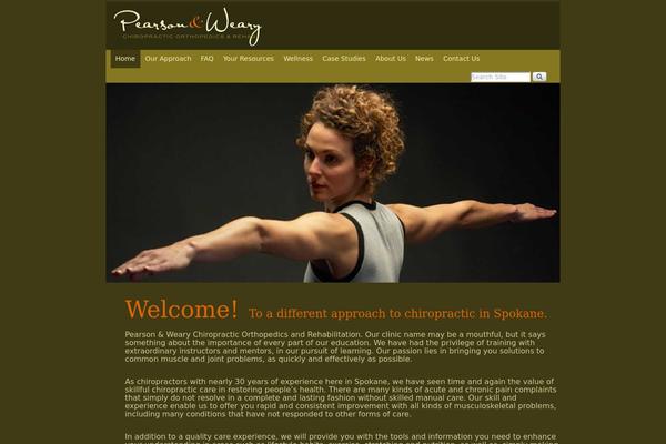 WordPress website example screenshot