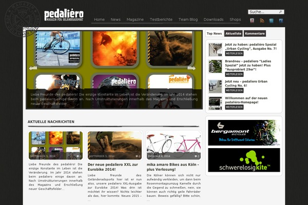 Arras WP theme theme site design template sample