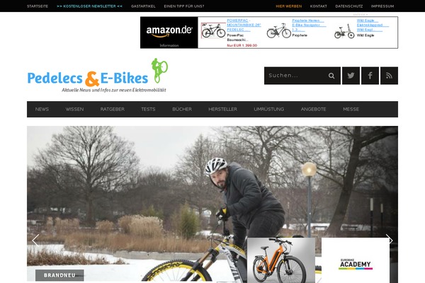 pedelec-elektro-fahrrad.de site used Edition