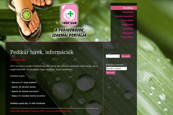 Enfold theme site design template sample