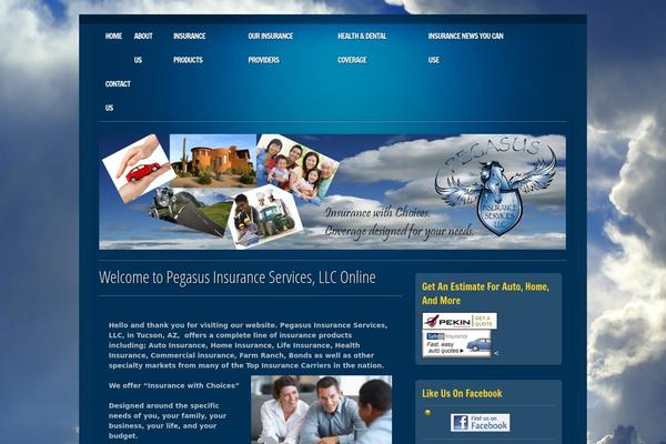pegasusinsaz.com site used Online Marketer
