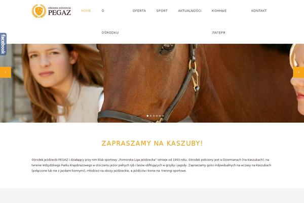 pegazdziemiany.pl site used Pegaz