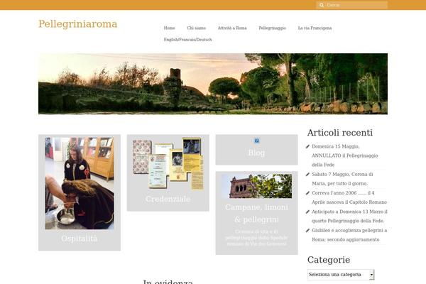 Virtue theme site design template sample