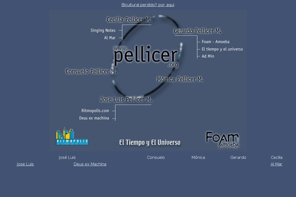 pellicer.org site used Accountant