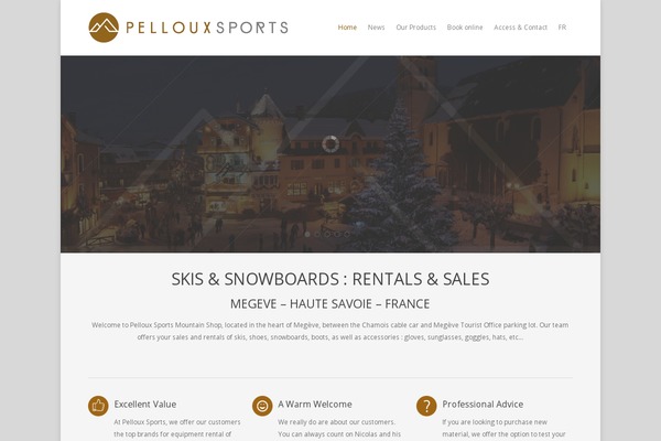 Salient theme site design template sample