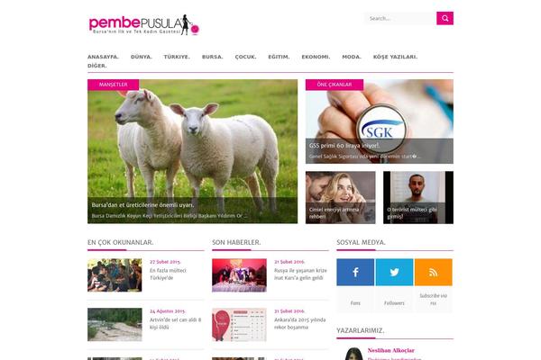 pembepusula.org site used Pembepusula