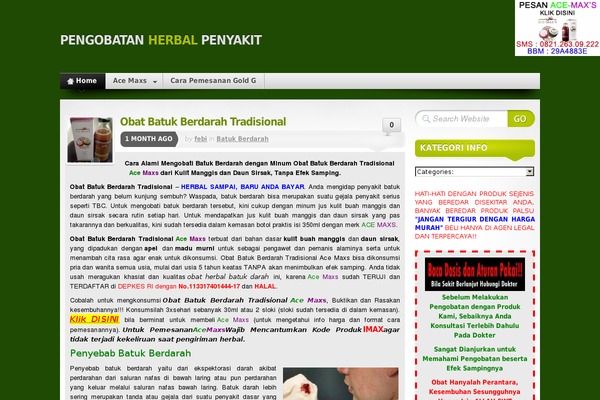 WordPress website example screenshot