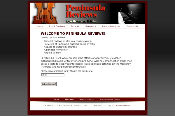 Site using Category Posts Widget plugin