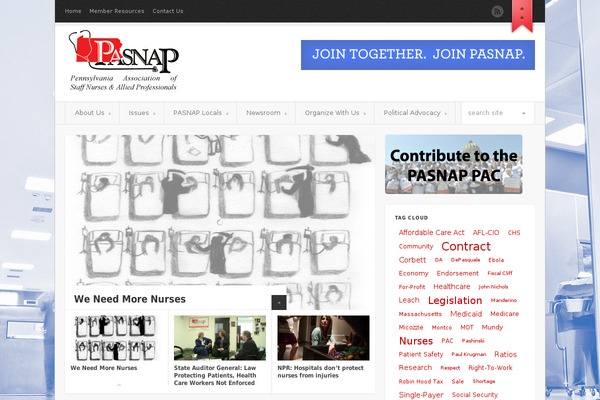 pennanurses.org site used Pasnap13
