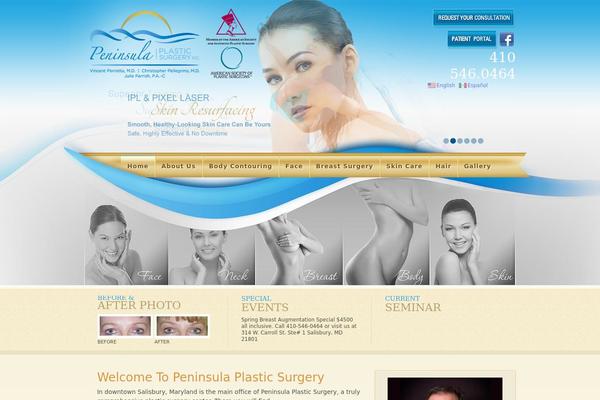 penplasticsurgery.com site used Penplastic