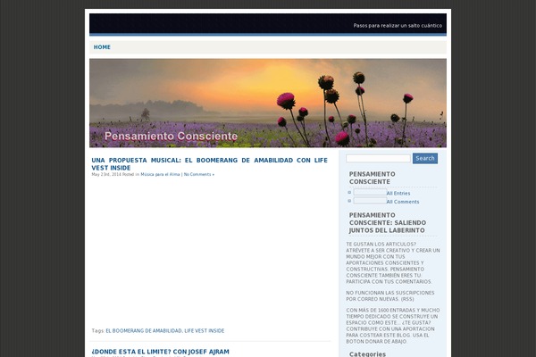 Bluebox theme websites examples