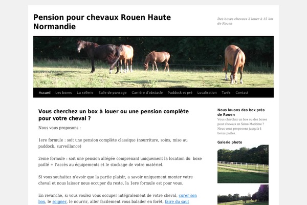 Twenty Ten theme site design template sample