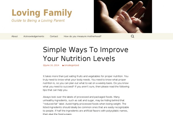 Twenty Thirteen theme site design template sample