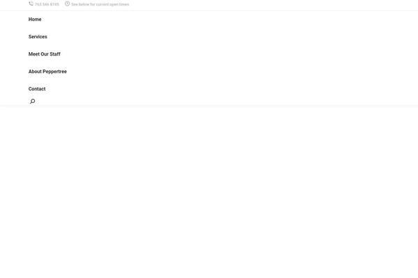 The7 theme site design template sample