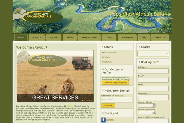 WordPress website example screenshot