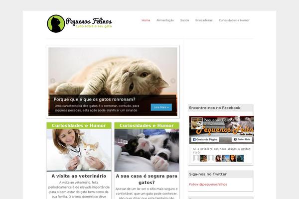 Wp-pinup theme site design template sample