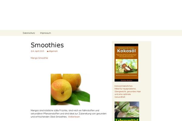 Twenty Thirteen theme site design template sample