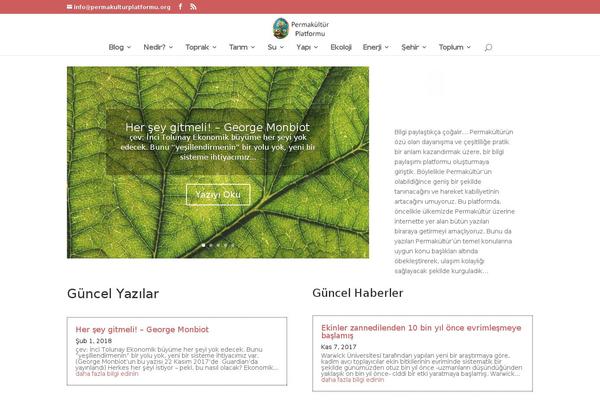 Divi Child theme site design template sample