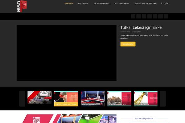 Truemag theme site design template sample