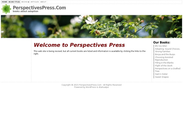 Atahualpa theme site design template sample