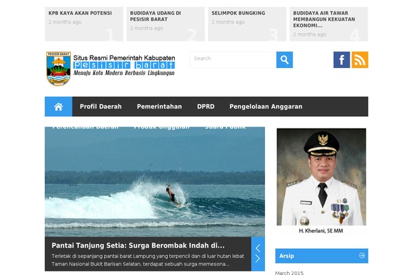 WordPress website example screenshot