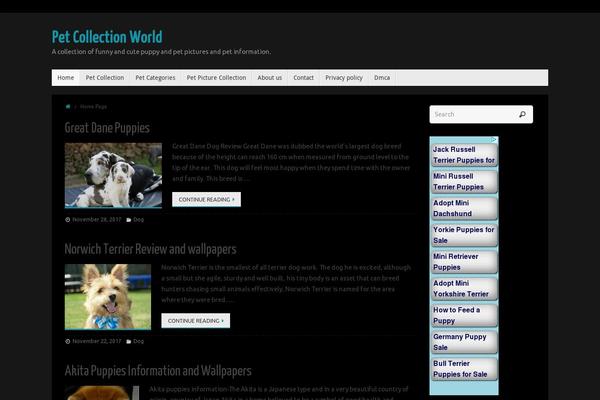 petcollectionworld.com site used Tempera