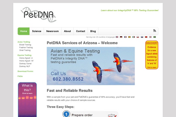 WordPress website example screenshot