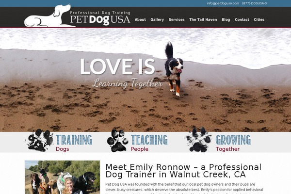 pdu WordPress theme, websites list used pdu theme pdu theme websites examples