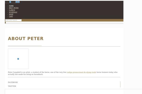 BeTheme Child theme site design template sample