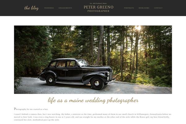 ProPhoto 5 theme site design template sample