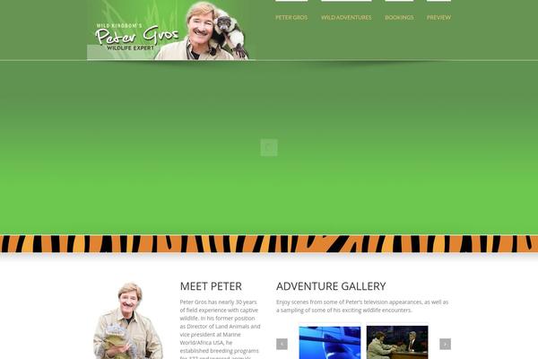 Avada theme site design template sample