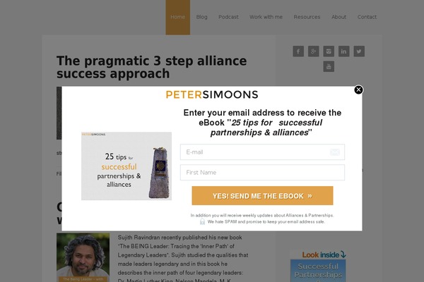 petersimoons.com site used Psv2