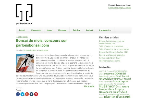 Site using Coming Soon Page & Maintenance Mode by SeedProd plugin