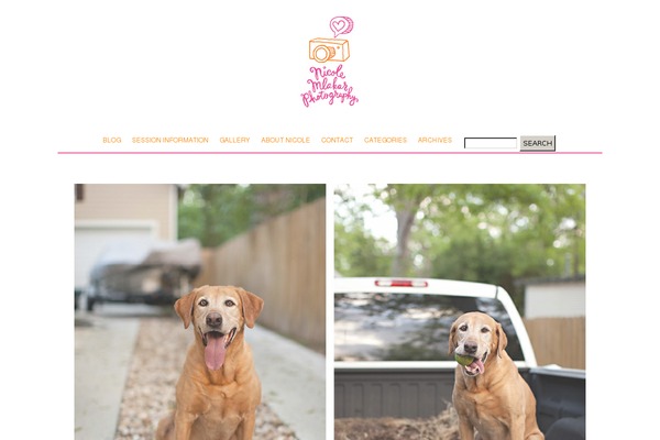 Prophoto4 theme site design template sample