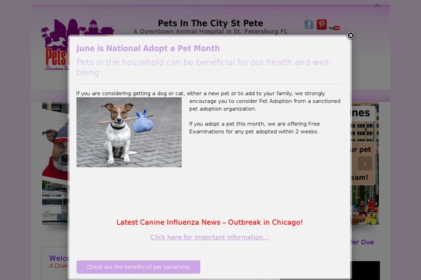 petsinthecitystpete.com site used 3Clicks Child