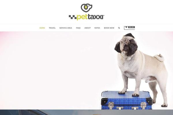 X Child theme site design template sample