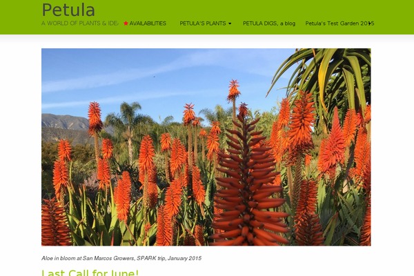 Striking theme site design template sample