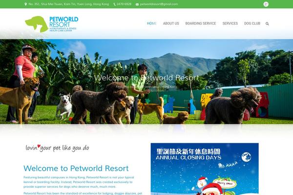 The7 theme site design template sample