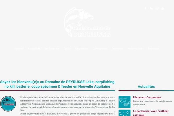 Bridge Child theme site design template sample