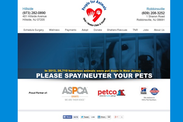pfaonline.org site used Avada Child Theme