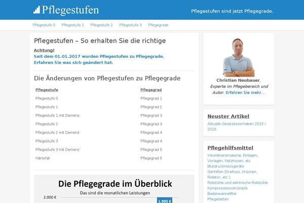 pflegestufen.org site used Icy Pro