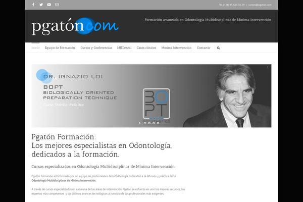 WordPress website example screenshot