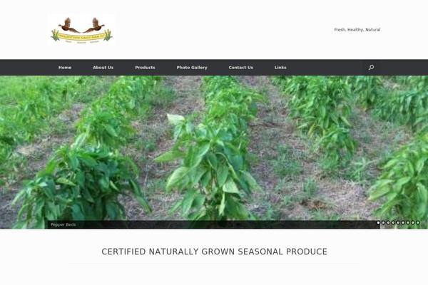 Vantage theme site design template sample