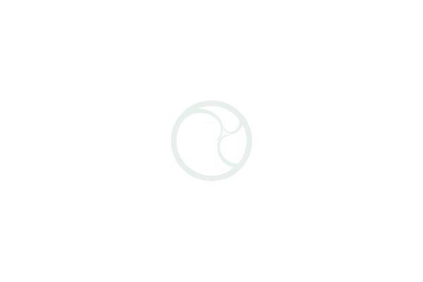 phidaradvisory.com site used Phidar