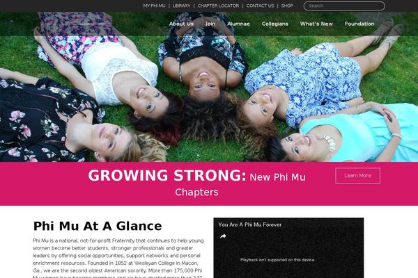 WordPress website example screenshot
