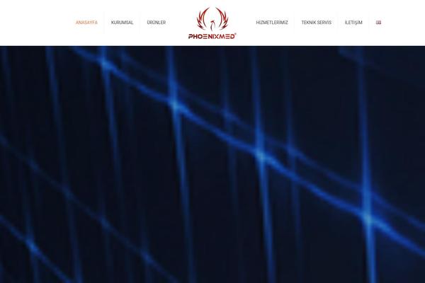 Site using Polylang plugin