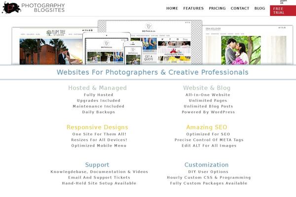 Mainsite theme site design template sample
