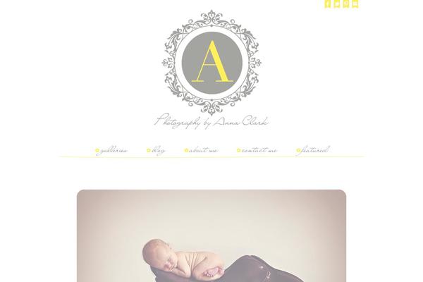 Prophoto4 theme site design template sample