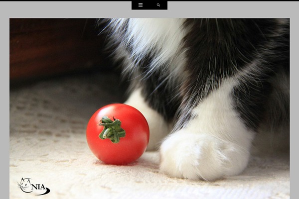 Site using Ie-sitemode plugin