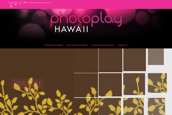 Divi theme site design template sample